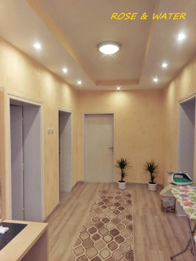 Rose & Water Guest House Pavel Banya Exterior photo